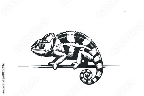 Chameleon perched on branch on transparent background. Vector hand drawn illustration