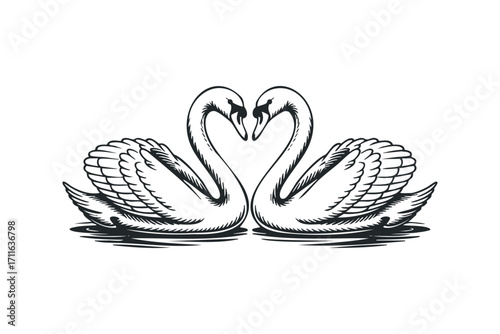 Two swans forming heart shape on transparent background. Vector hand drawn illustration
