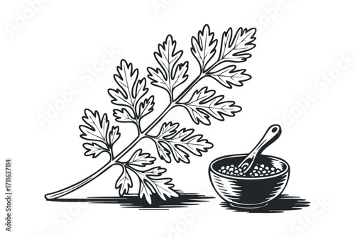 Hand drawn herb sprig and bowl of seeds with spoon. Vector hand drawn illustration