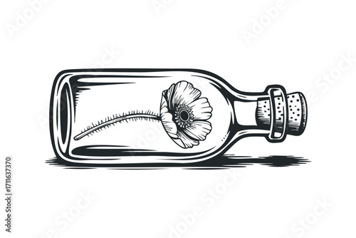 Poppy flower inside a glass bottle with cork on transparent background. Vector hand drawn illustration