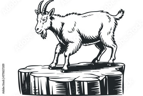 Goat standing on rock. Vector hand drawn illustration
