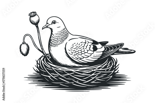 Pigeon in nest with poppy plant on transparent background. Vector hand drawn illustration