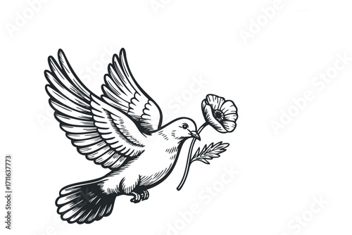 Pigeon with poppy flower in beak flying on transparent background. Vector hand drawn illustration