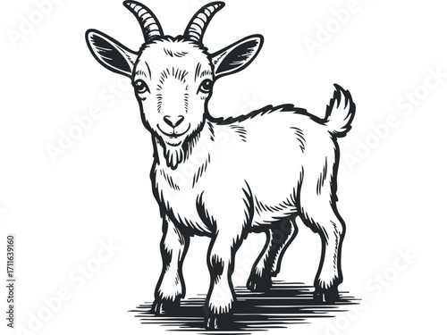Cute baby goat standing on transparent background. Vector hand drawn illustration