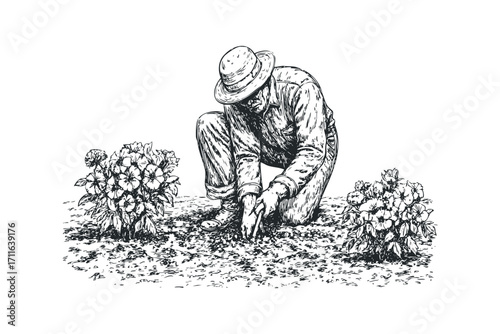 Man planting flowers in garden, hand drawn sketch on transparent background. Vector hand drawn illustration