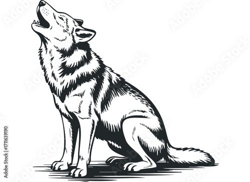 Wolf howling on white isolated. Vector hand drawn illustration