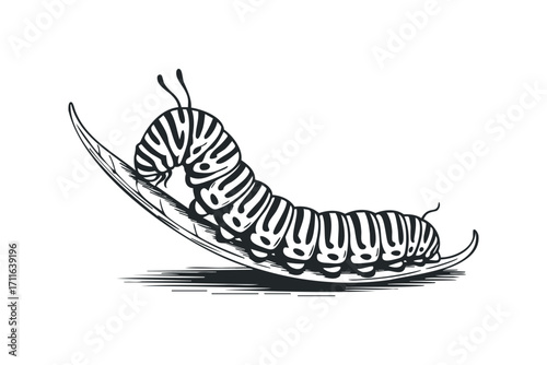 Striped caterpillar crawling on a leaf outline isolated on white background. Vector hand drawn illustration