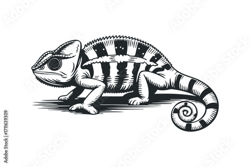 Chameleon side profile with detailed scales and curled tail. Vector hand drawn illustration
