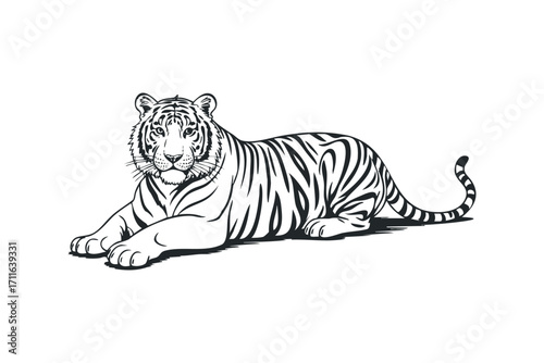 Line art tiger lying down. Vector hand drawn illustration