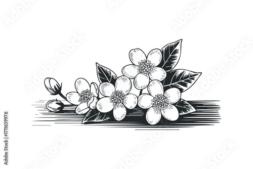 Floral bouquet with blossoms and leaves on transparent background. Vector hand drawn illustration