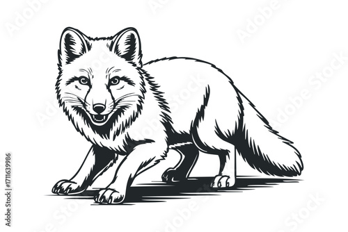 Black and white line art of a fox on transparent background. Vector hand drawn illustration