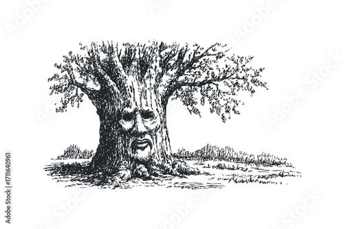 Woodland spirit depicted as a face within a tree trunk on a transparent background.. Vector hand drawn illustration