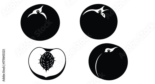 Four detailed black and white silhouettes of peaches including a halved fruit vector