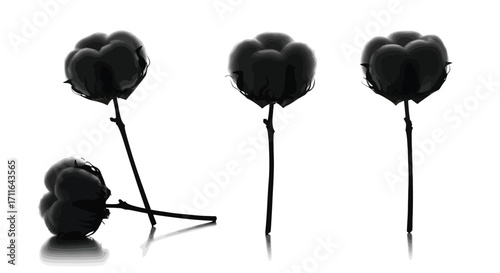 Ripe blackberries on stems isolated on for fresh produce design elements vector