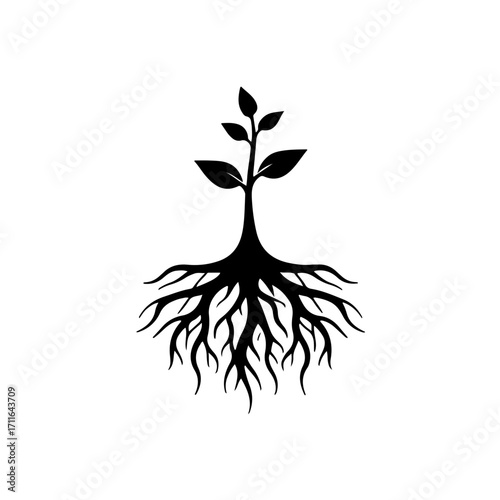 A hopeful and resilient black and white icon featuring a new plant bud growing from a strong, established root system. This design symbolizes new life and growth after a difficult struggle