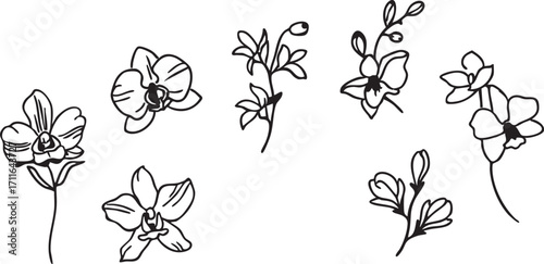 Orchid flower vector set: black and white floral line art illustrations eps silhouette