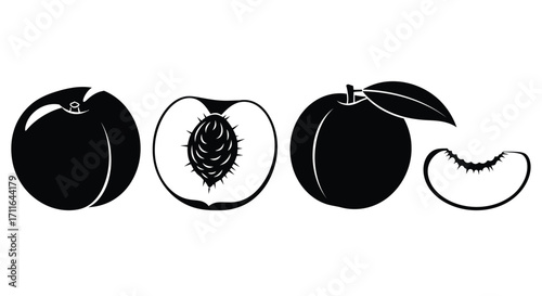 Fresh ripe plums and peach half with seed and leaves simple line art style vector