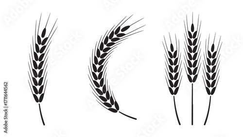 Collection of wheat stalks representing agriculture harvest and food production