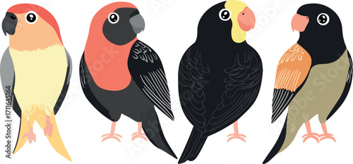 Four colorful and distinct cartoon birds with black beaks and feet standing side by side on a white background