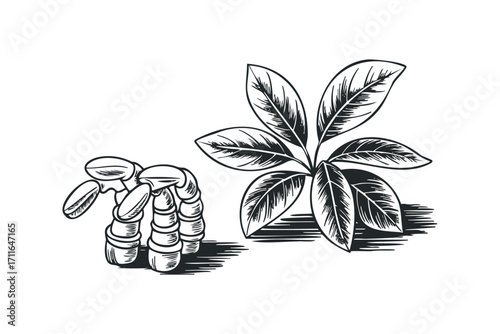 Monochromatic sketch of stacked stones and a plant branch. Vector hand drawn illustration