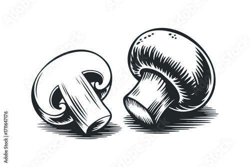 Mushroom halves on transparent background. Vector hand drawn illustration