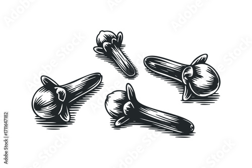 Four whole cloves on a transparent background. Vector hand drawn illustration