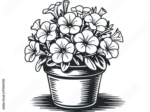 Potted Petunias Floral Arrangement. Vector hand drawn illustration