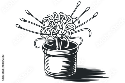 Floral bloom in a pot with textured drawing style on a transparent background. Vector hand drawn illustration