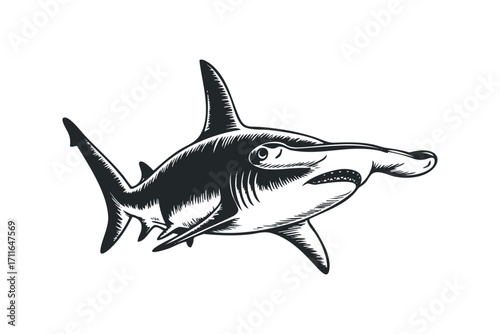 Hammerhead shark drawing on transparent background. Vector hand drawn illustration