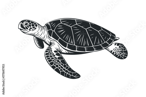 Black silhouette of sea turtle swimming on transparent background. Vector hand drawn illustration