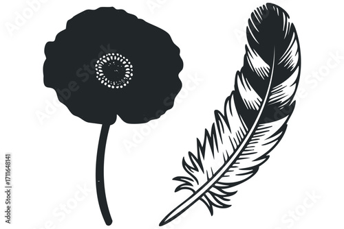 Silhouette of a poppy flower and a bird feather on transparent background. Vector hand drawn illustration