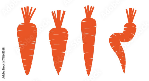 Four orange carrots isolated healthy root vegetables fresh organic produce food ingredient collection vector