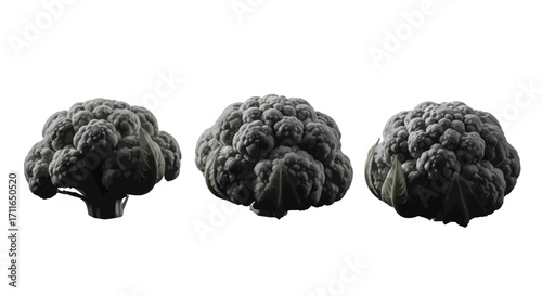 Three dark cauliflower florets isolated on white studio background healthy food photography vector