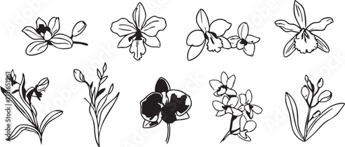 Orchid flower vector set: line art, floral illustrations, botanical design elements eps silhouette