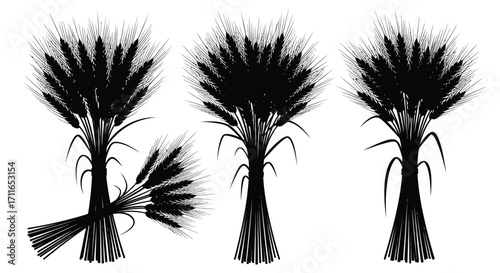 Three black silhouette bunches of wheat stalks displayed artistically with a scattered bundle vector
