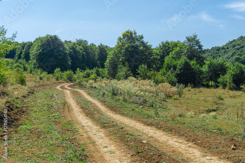 Light brown and dark yellow dirt off-road road leads into the forest. Hills around. Green trees, bushes and grass on the side of the road. Bright blue sky with clouds
