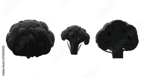 Three silhouetted cauliflower and broccoli florets isolated on a vector