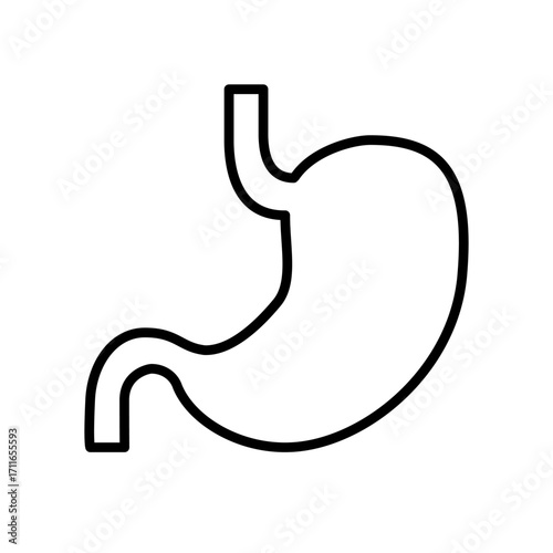 Simple outline icon of human stomach. Minimalist line design for anatomy, digestive system, healthcare, and medical concept