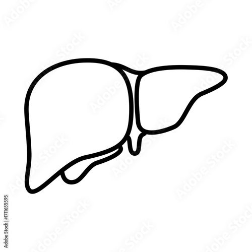 Line icon of human liver. Minimalist outline design for anatomy, biology, healthcare, and medical concept