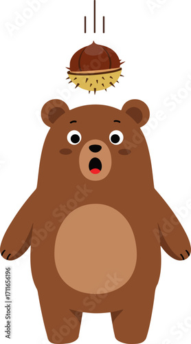 A sharp chestnut falling on the bear's head