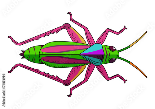Colorful bright locust insect pest agriculture, gardens, eats crops, loss of harvest. Illustration for educational design, for insecticide packaging