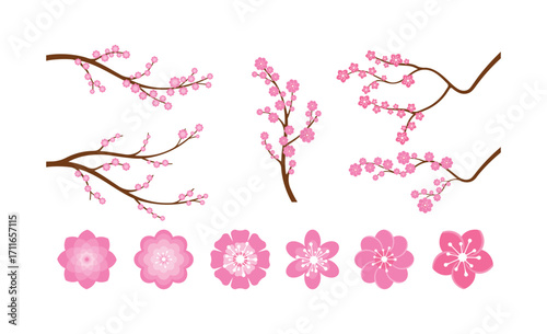 Cherry blossom branches and pink flower icons set isolated vector illustration