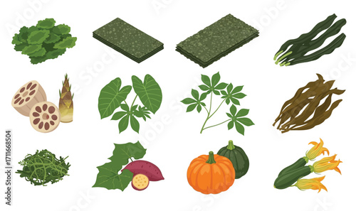 Vector illustration of  organic and herbs vegetables