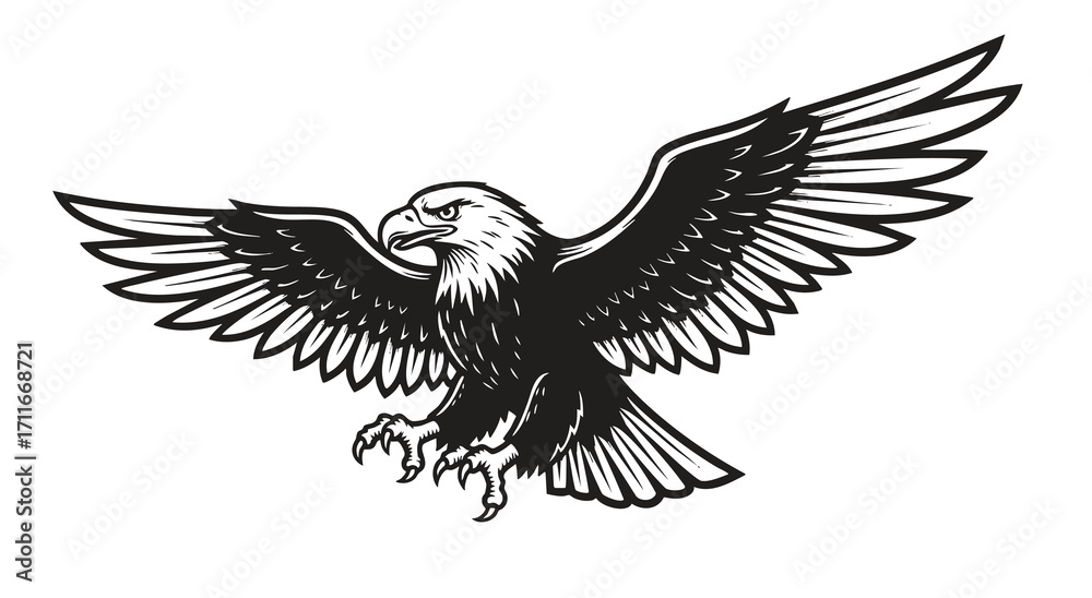 Obraz premium Bald eagle soaring in air monochrome illustration. Isolated, vector of eagle engraving style