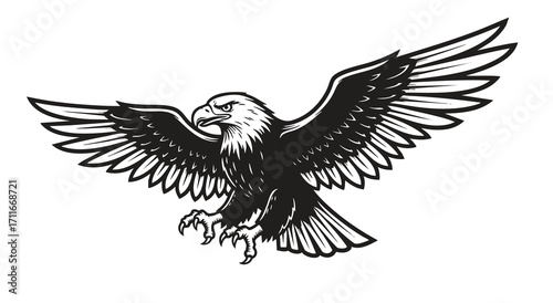 Bald eagle soaring in air monochrome illustration. Isolated, vector of eagle engraving style
