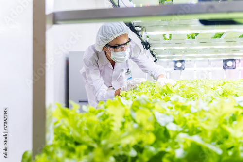 Technician in protective gear inspects leafy lettuce in a clean indoor vertical farm, showcasing high tech hydroponic cultivation and bright grow lights for efficient, sustainable food product.