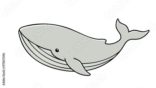 Illustration of a large gray whale swimming in the ocean, with fins and a tail.
