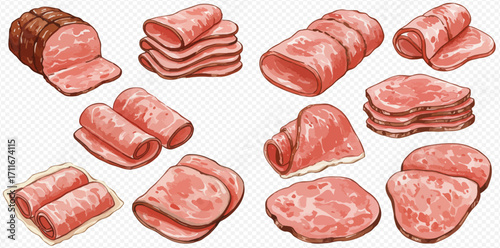 An illustrated collection of various ham and processed meat products, shown as a roast, sliced, rolled, and folded.