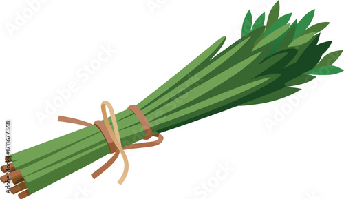Fresh Green Herb Bundle, Tied with Twine