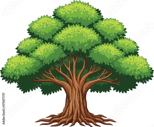 Beautiful green deciduous tree with a wide canopy, intricate trunk, and visible roots, perfect for nature, ecology, environment, and outdoor-themed designs and illustrations.